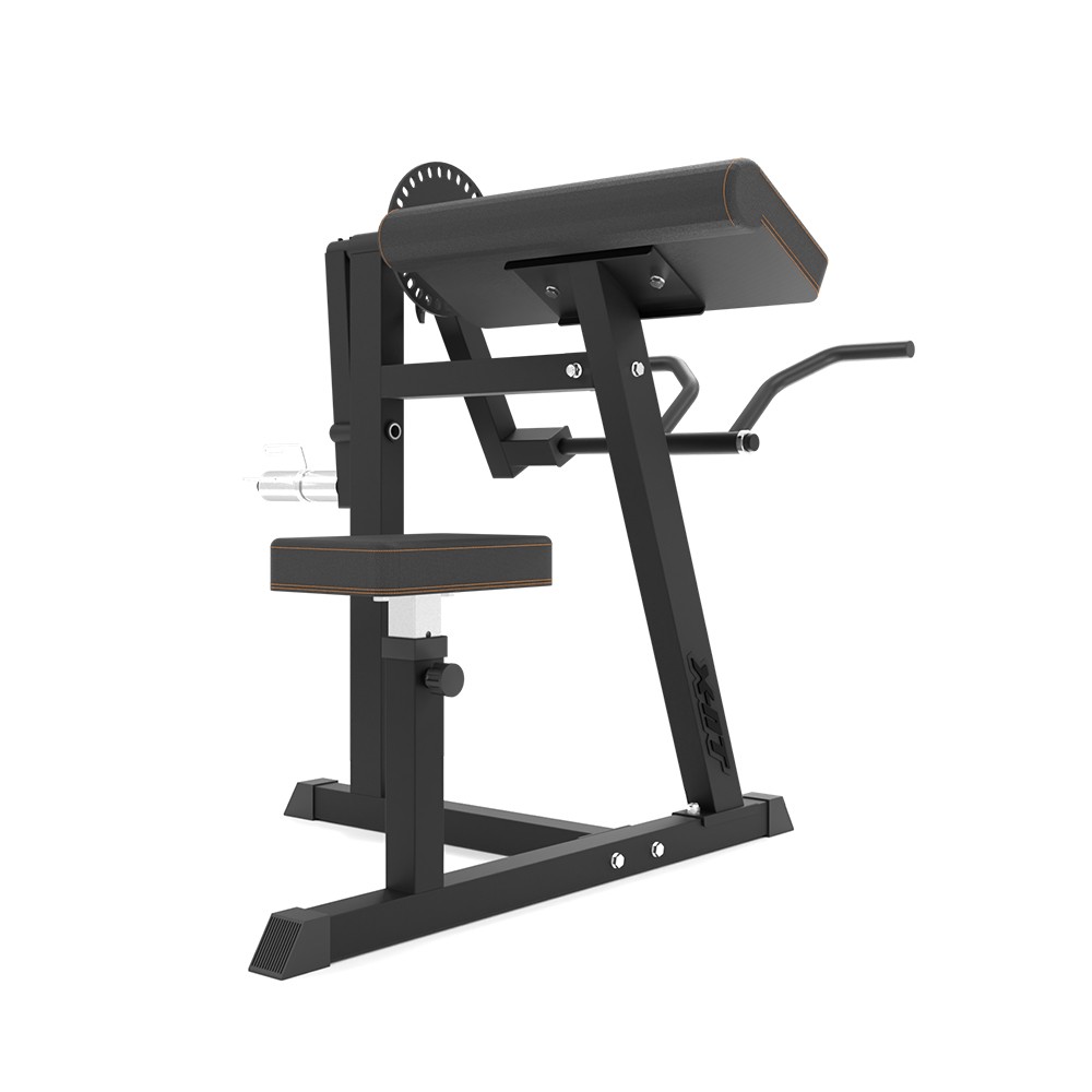 Bancă flexii biceps şi triceps Scott inSPORTline X-NT BT20 [2]