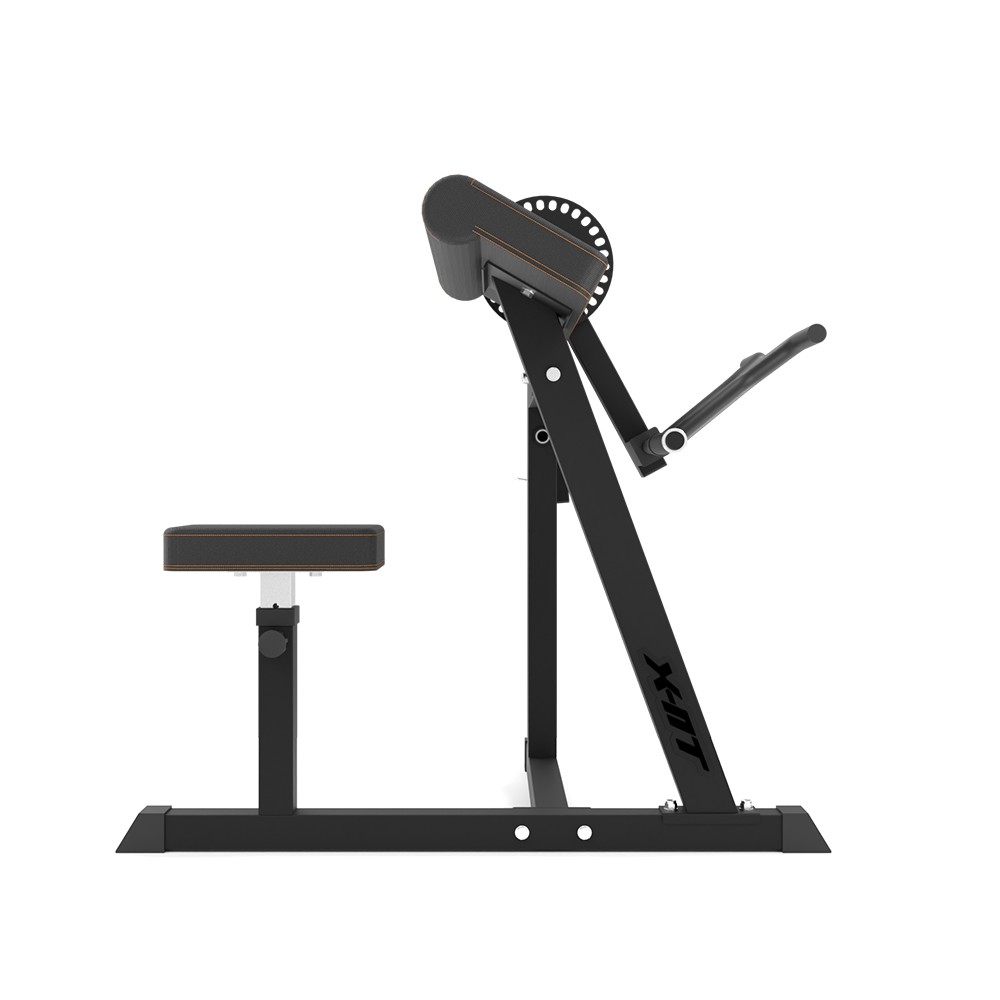 Bancă flexii biceps şi triceps Scott inSPORTline X-NT BT20 [3]