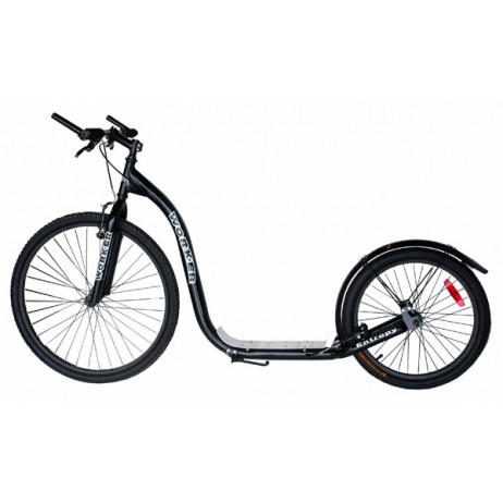 Trotineta Worker Entropy