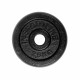 Disc Greutate fontă inSPORTline Castblack 2,5kg/30mm