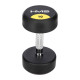 Gantera cu greutate fixa HMS HG PRO 10KG