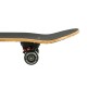 Skateboard-ul Nils Extreme Color Worms 2 CR3108SA