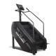 Stepper Profesional Sportmann Stair Master DGZ-9605