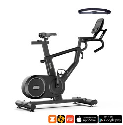 Bicicleta Indoor Cycling inSPORTline ZenRoute 250