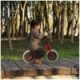 Balance bike QPlay Trainer Rosu