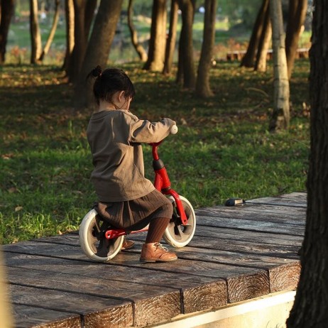 Balance bike QPlay Trainer Rosu