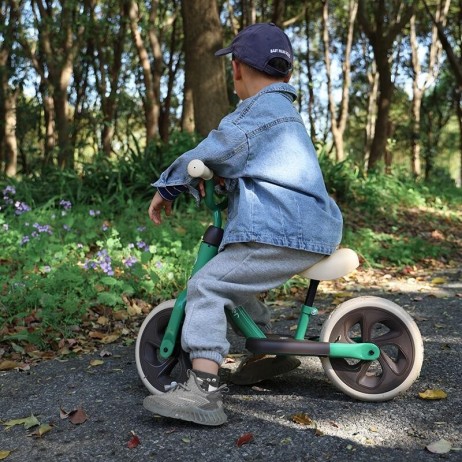 Balance bike QPlay Trainer Verde