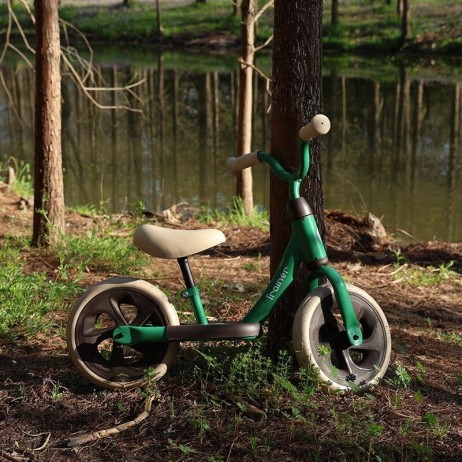 Balance bike QPlay Trainer Verde