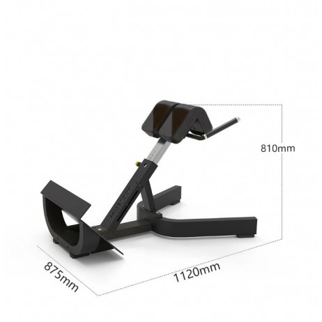 Banca hiperextensii spate Sportmann B1045