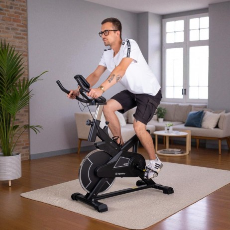 Bicicleta Spinning inSPORTline Alfan