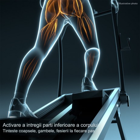 Stepper inSPORTline ZenPeak 30