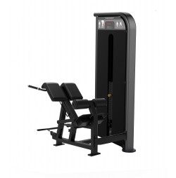 Aparat fitness extensii spate Kingstar