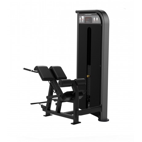 Aparat fitness extensii spate Kingstar