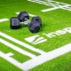 Covor de gazon sintetic inSPORTline Graspet 10,2 × 2 m