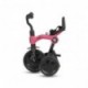 Tricicleta Qplay Ant Plus Rose