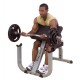 Banca flexii biceps Scott Body-Solid GPCB329