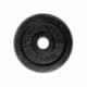 Set discuri de greutăți din fontă inSPORTline 2x0.5-20 kg