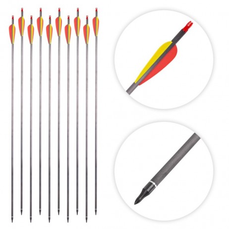 Săgeți din carbon cu vârfuri înșurubabile inSPORTline Carbison 30” – 10 buc.