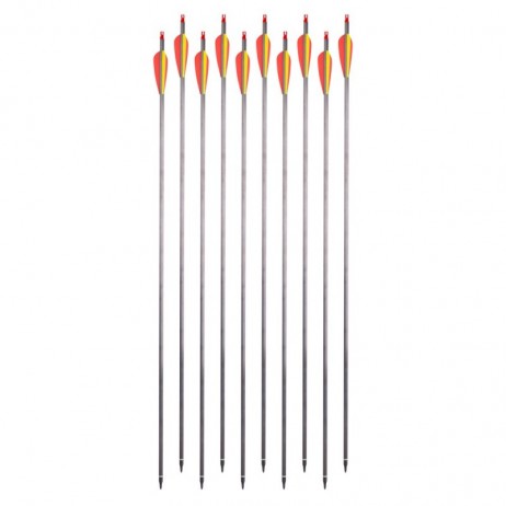 Săgeți din carbon cu vârfuri înșurubabile inSPORTline Carbison 30” – 10 buc.