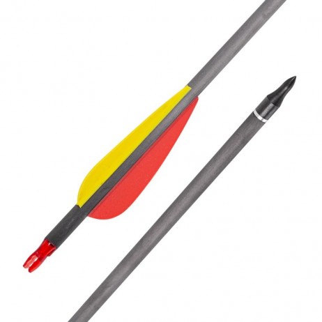 Săgeți din carbon cu vârfuri înșurubabile inSPORTline Carbison 30” – 10 buc.