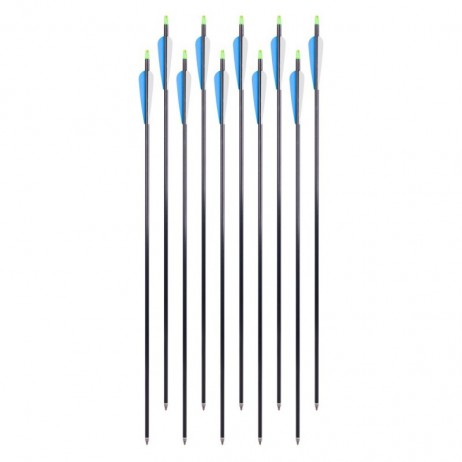 Săgeți din aluminiu cu vârfuri înșurubabile inSPORTline Aluson 30” – 10 buc.